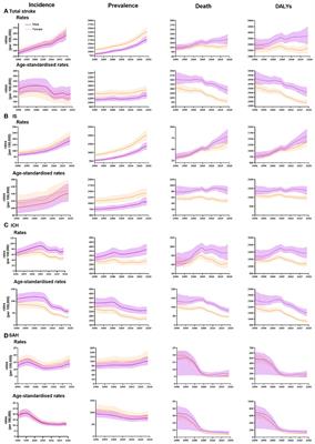 Stroke burden and attributable risk factors in China, 1990–2019